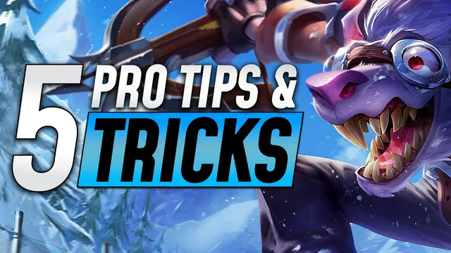 Top 5 Tips and Tricks