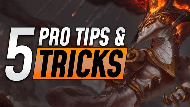 Top 5 Tips and Tricks