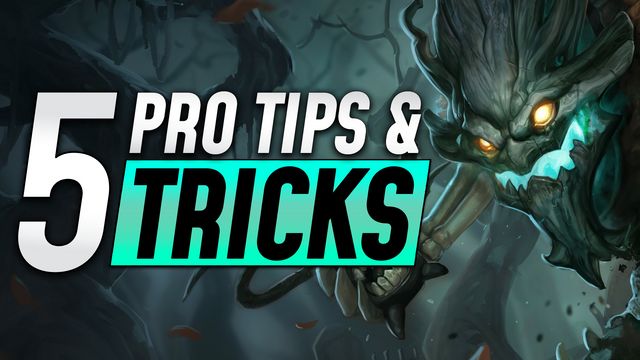 Top 5 Tips and Tricks