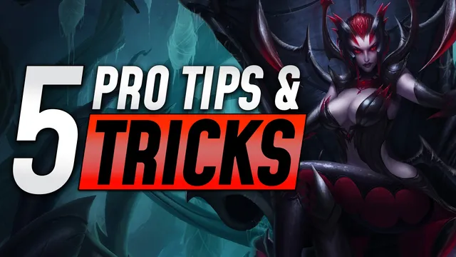 Top 5 Tips and Tricks