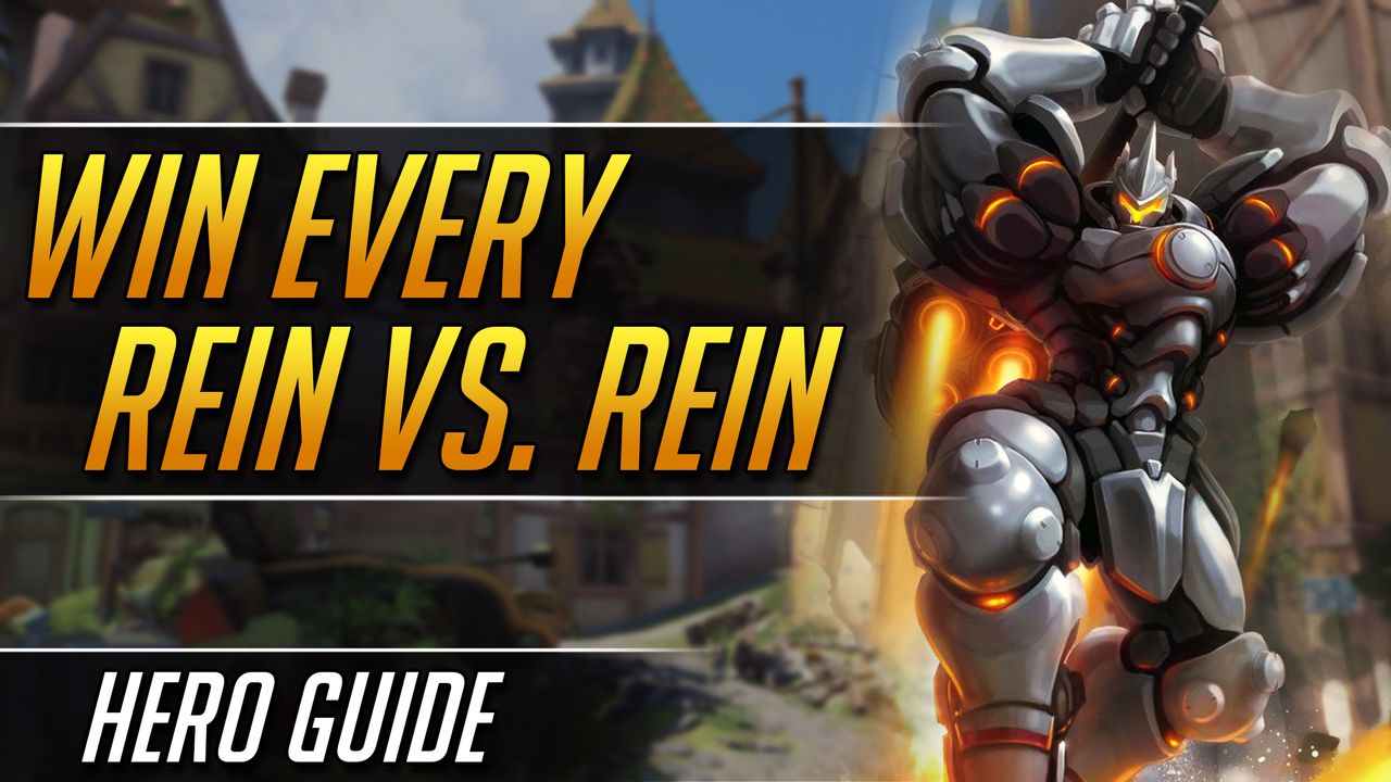 The Ultimate Rein vs. Rein Guide