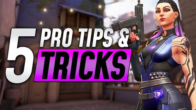 Top 5 Tips and Tricks