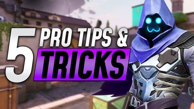 Top 5 Tips and Tricks