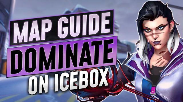 How to Dominate Icebox as Fade