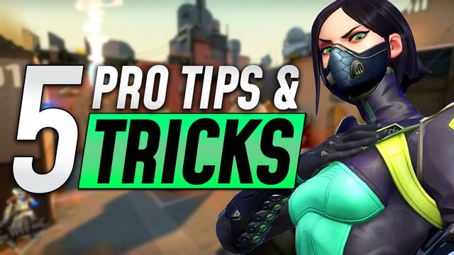 Top 5 Tips and Tricks