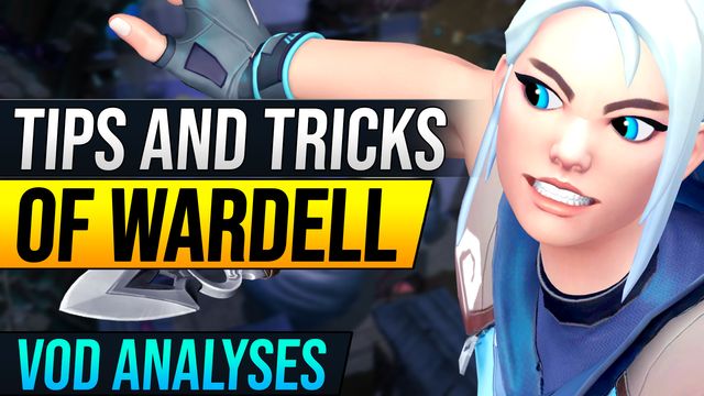 Pro Tips and Tricks of TSM Wardell